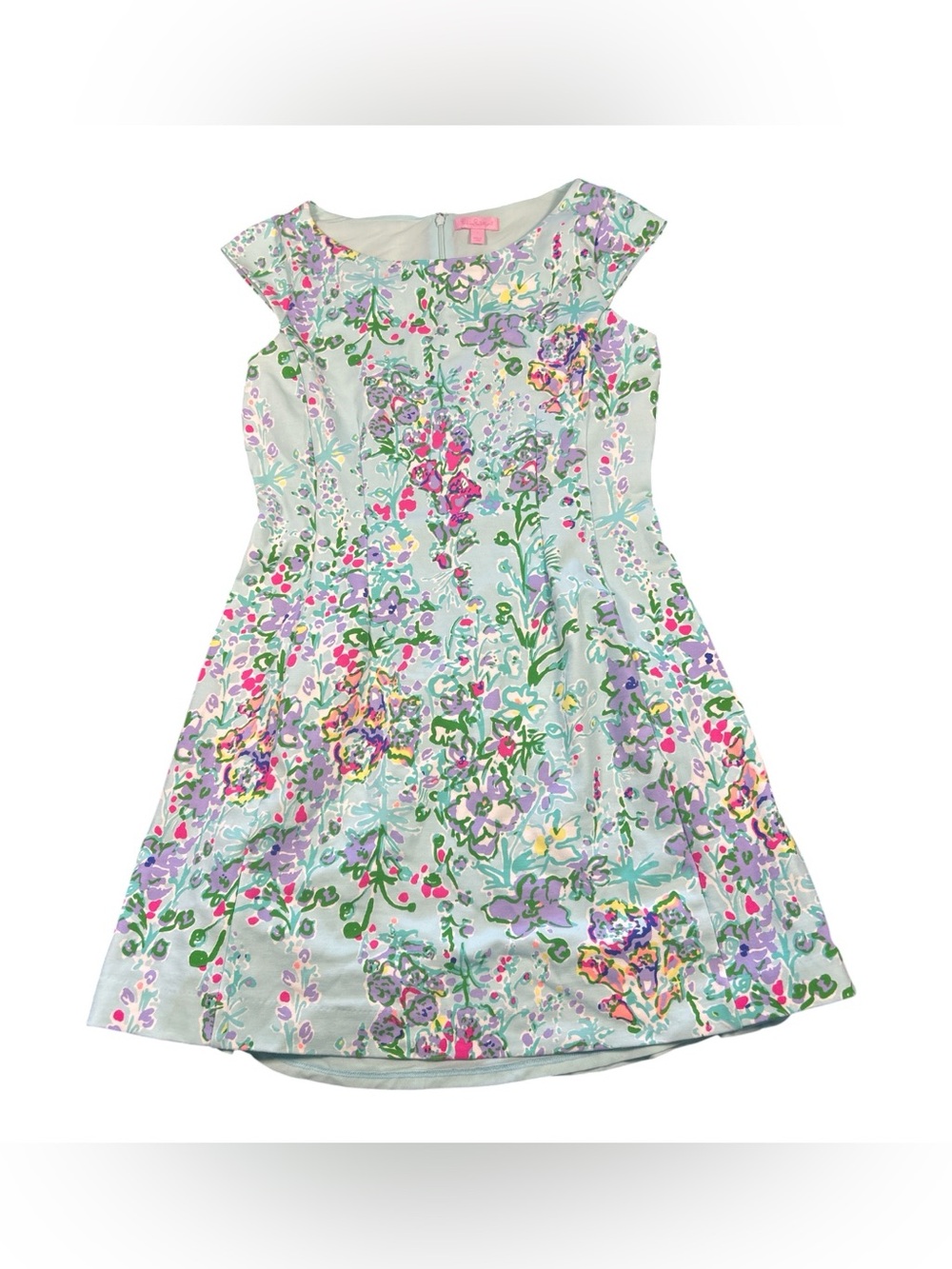 Lilly Pulitzer Briella Dress in Southern Charm Size Large EUC‎